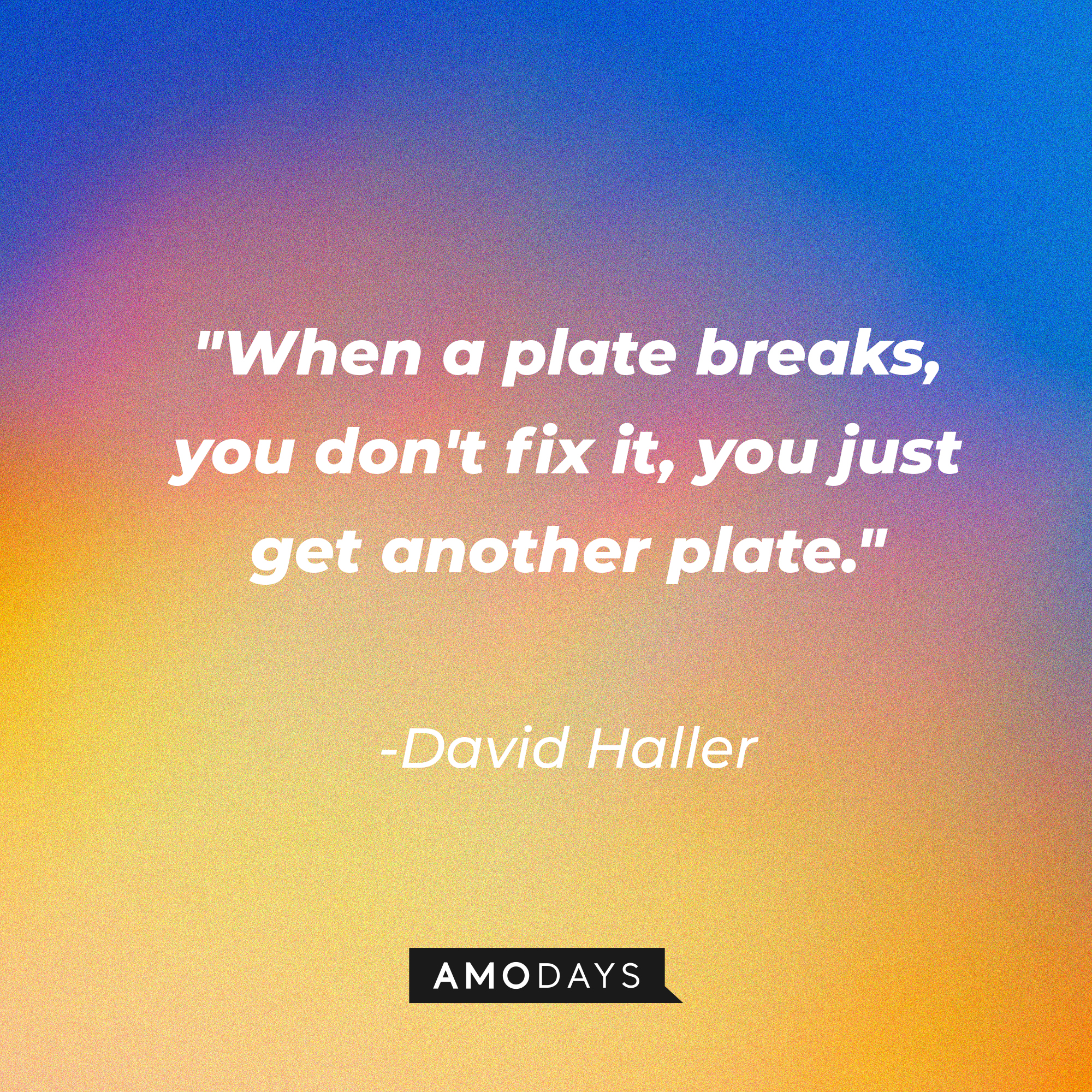 David Haller's quote "When a plate breaks, you don't fix it, you just get another plate." | Image: AmoDays