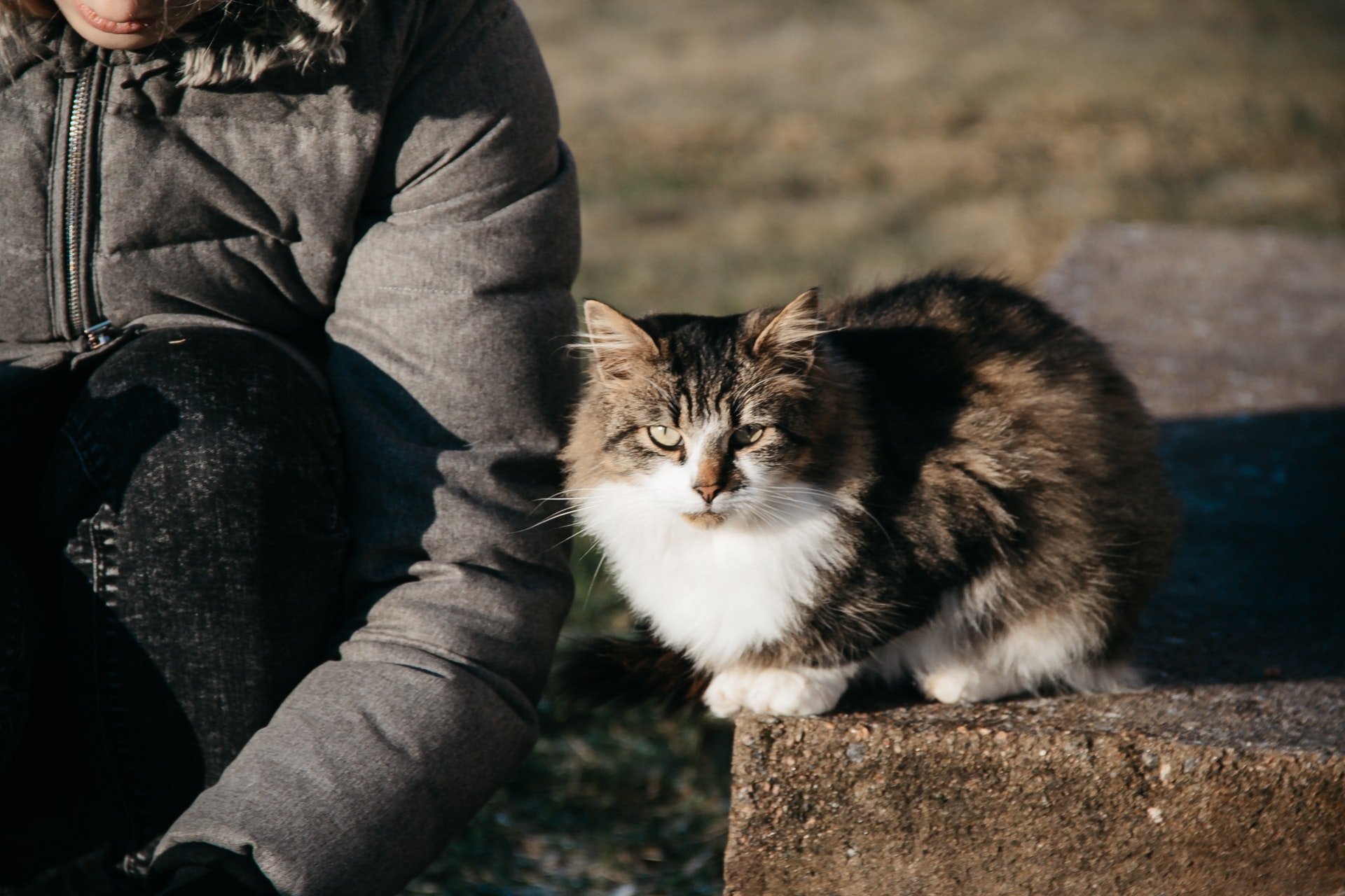 Person sitting outside with cat by their side | Photo: Pexels/NastyaSensei