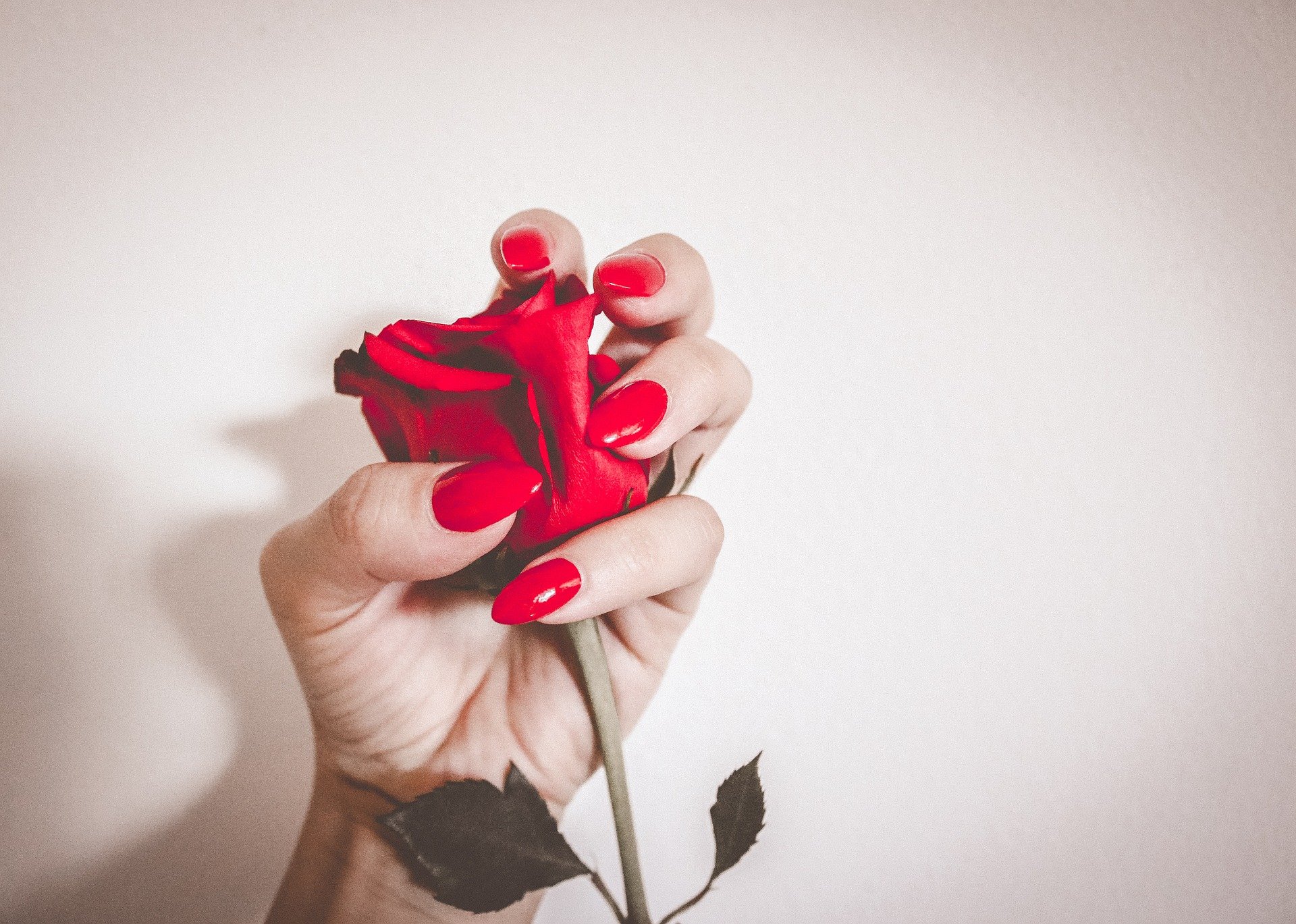 Mujer con manicura roja sostiene rosa. | Foto: Pixabay