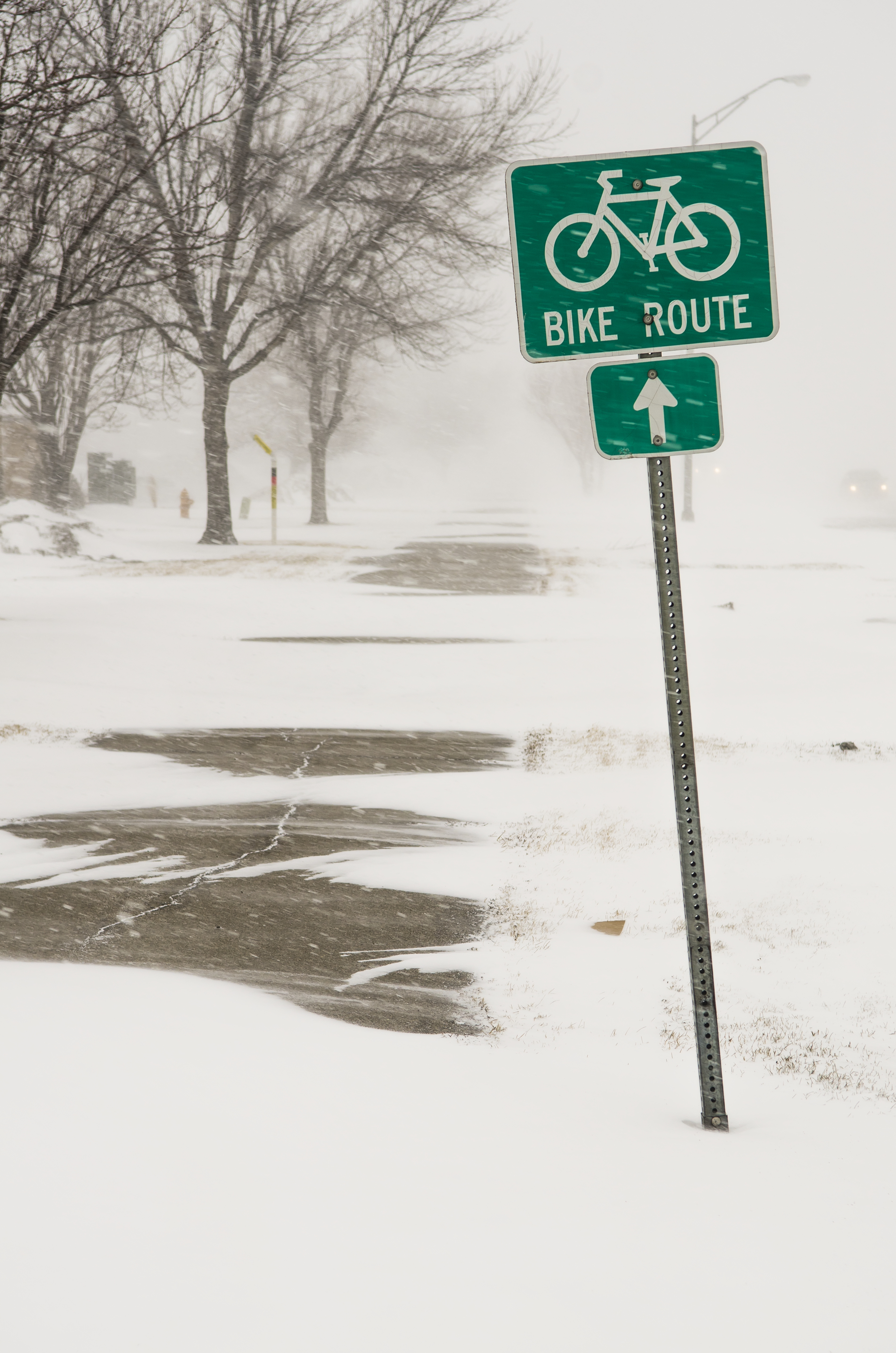 A bike route sign in a blizzard in Grand Forks, North Dakota, dated November 29, 2016 | Source: Getty Images