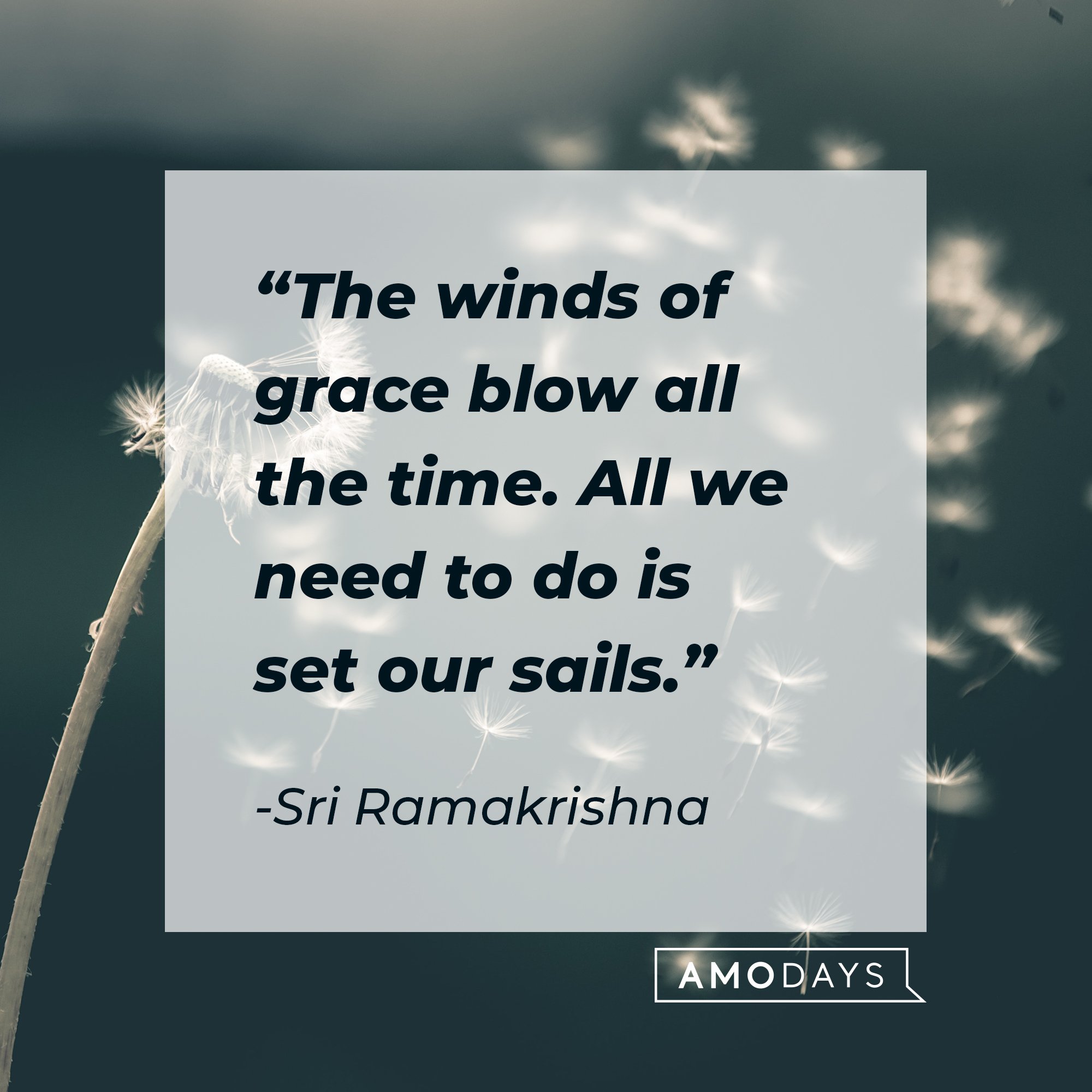 72 Quotes about the Wind to Help You Decide Which Way to Blow