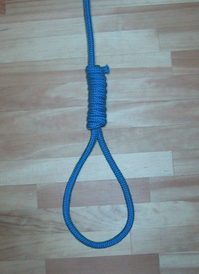 Image of a hangman's noose. | Photo: Wikimedia Commons