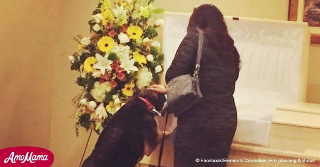 Funeral home allowed dog to say final goodbye to deceased owner