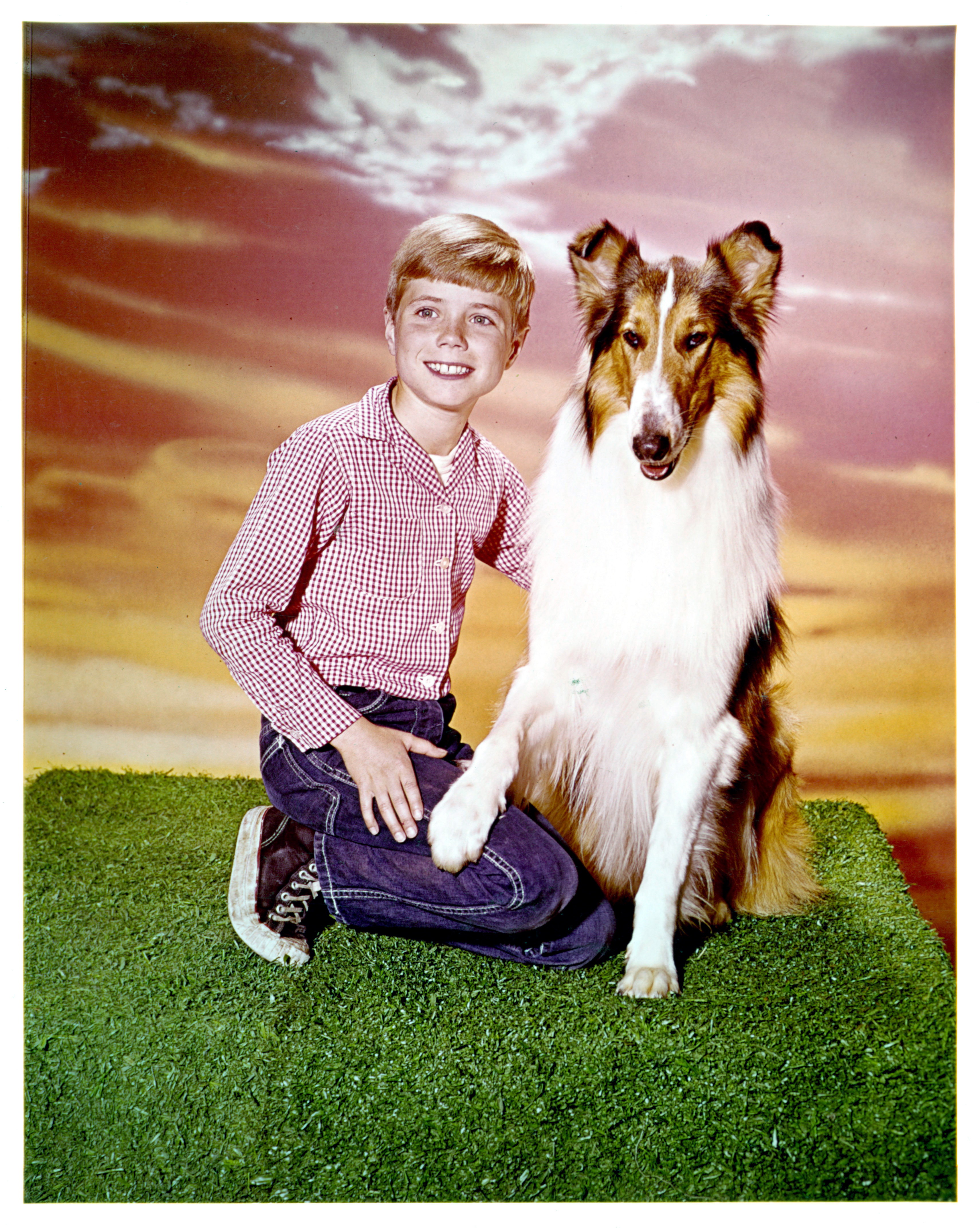 Jon Provost and Lassie in a publicity portrait for the television series "Lassie," circa 1954 | Source: Getty Images