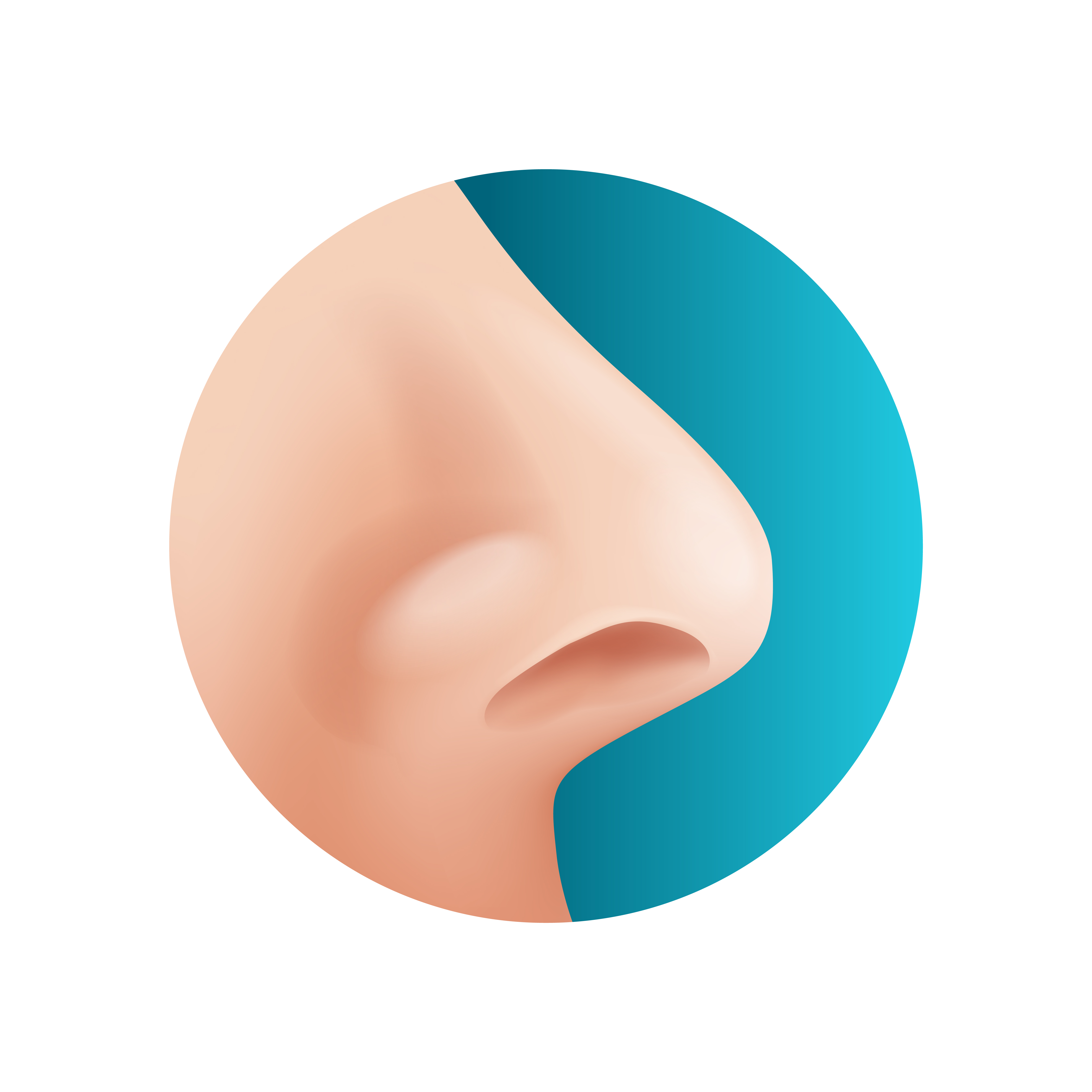Realistic isolated 3D human nose profile | Source: Getty images