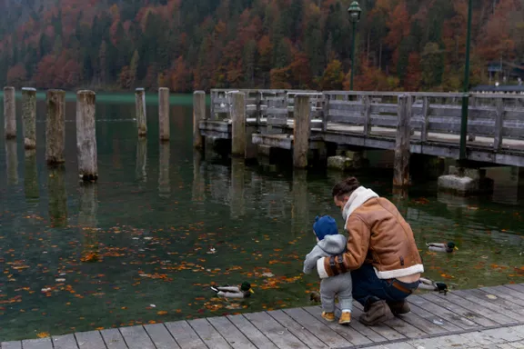 Stefanie sah Hermann beim Teich. | Quelle: Pexels