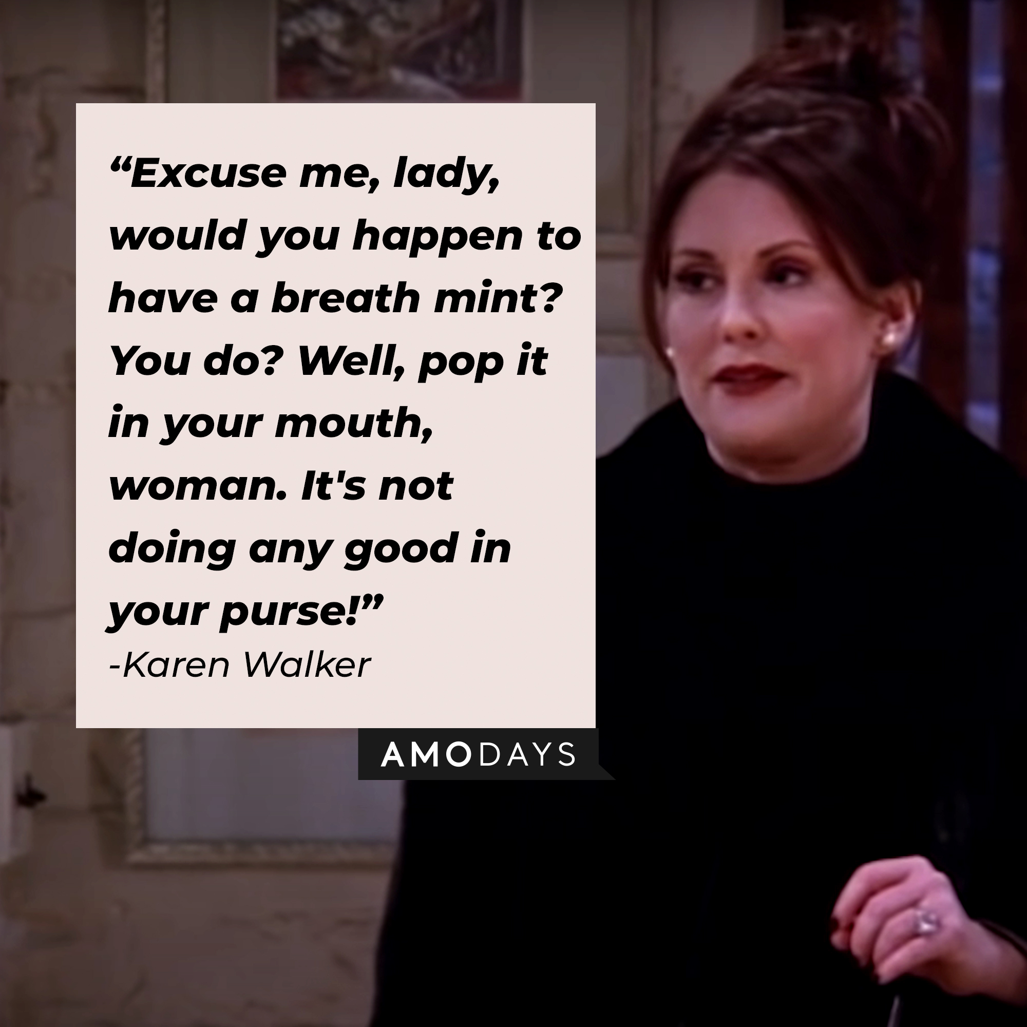 A photo of Karen Walker with the quote, "Excuse me, lady, would you happen to have a breath mint? You do? Well, pop it in your mouth, woman. It's not doing any good in your purse!" | Source: YouTube/ComedyBites