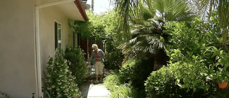 Margaret Kreusser waters the plants in her home. | Source: NBC7 San Diego