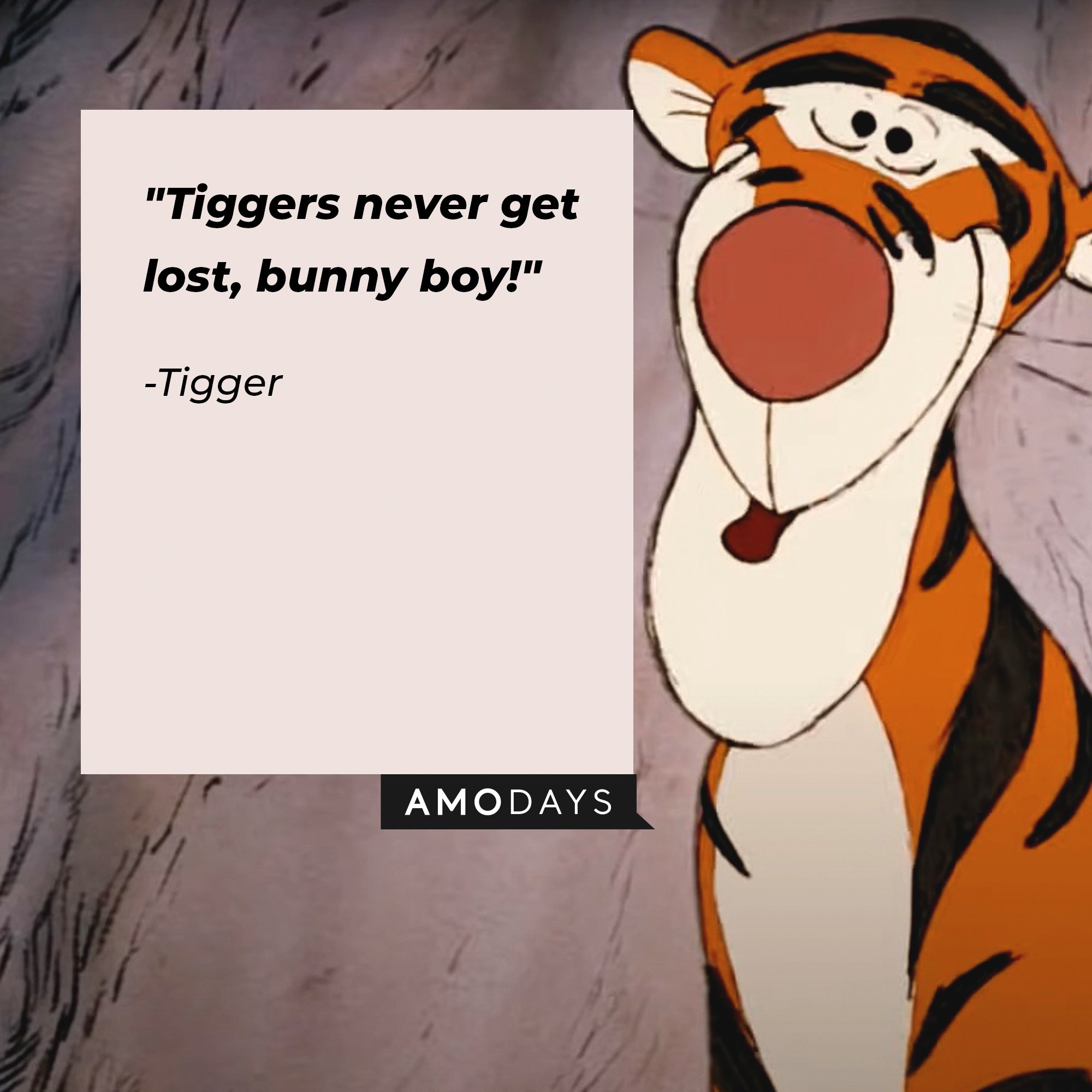 Tigger's quote: "Tiggers never get lost, bunny boy!" │ Image: AmoDays