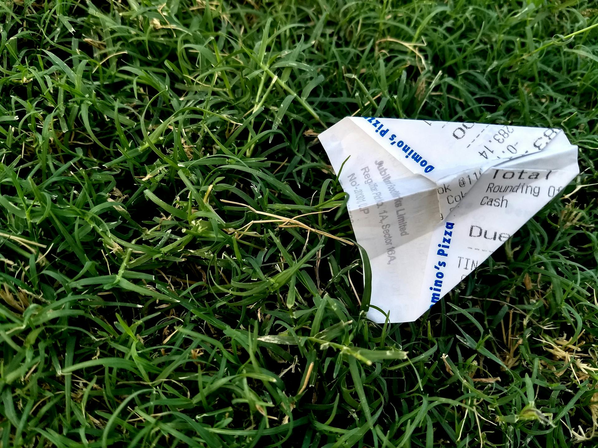 A receipt lying on grass | Source: Pexels