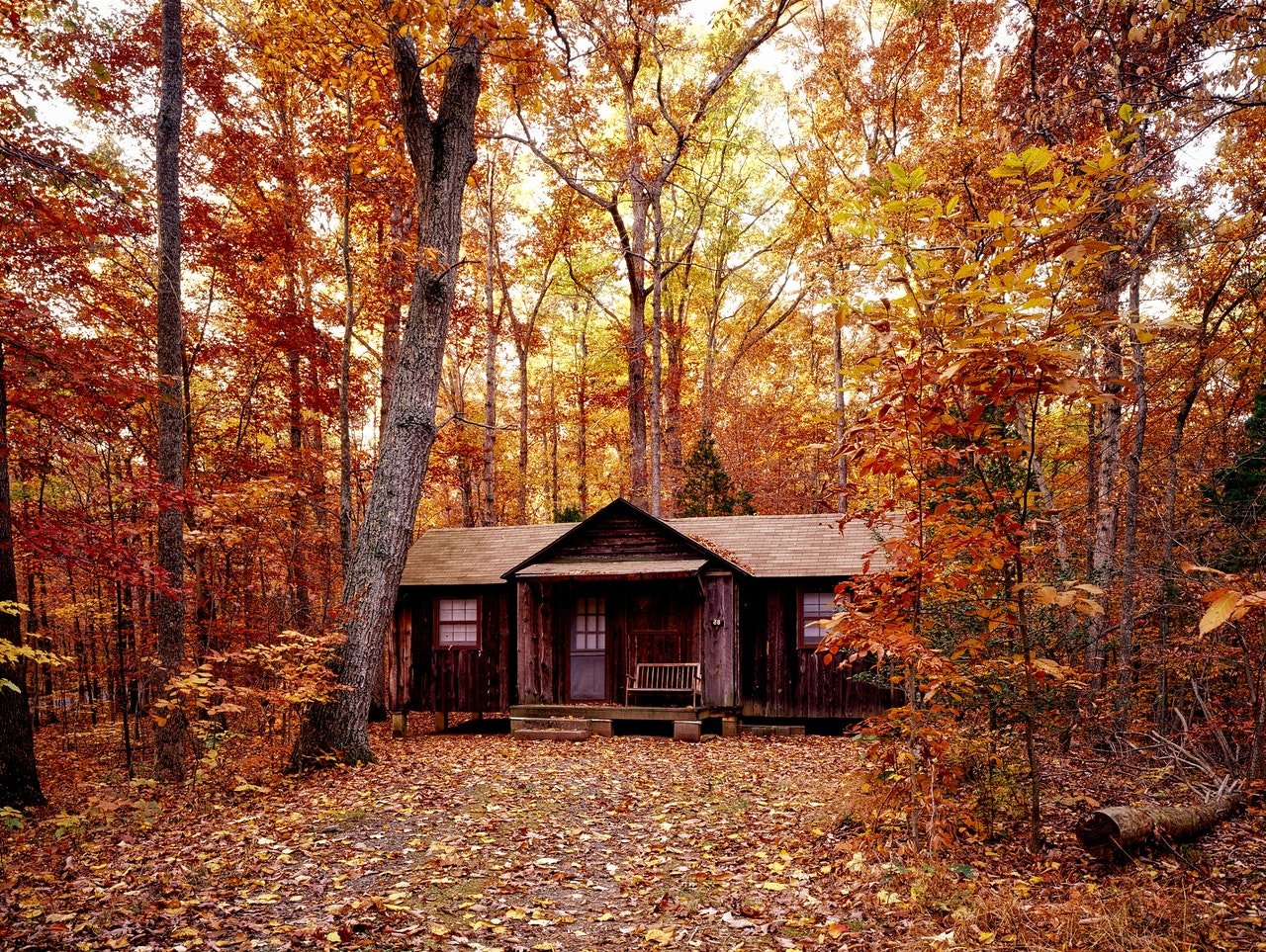 Photo of a wooden cabin located in the woods | Photo: Pexels