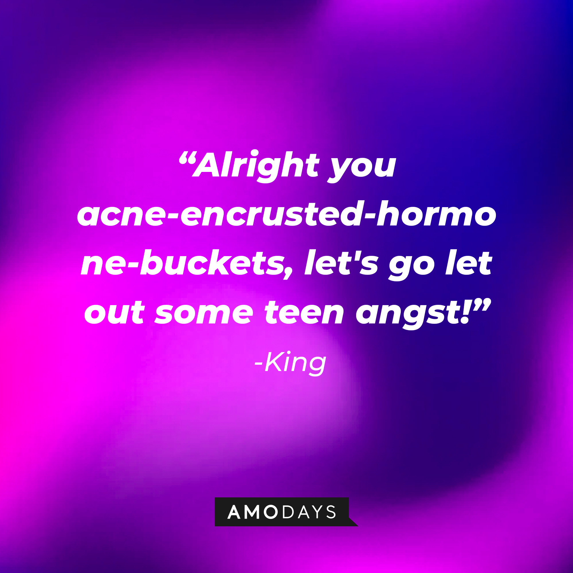 A photo with King's quote, "Alright you acne-encrusted-hormone-buckets, let's go let out some teen angst!" | Source: Amodays