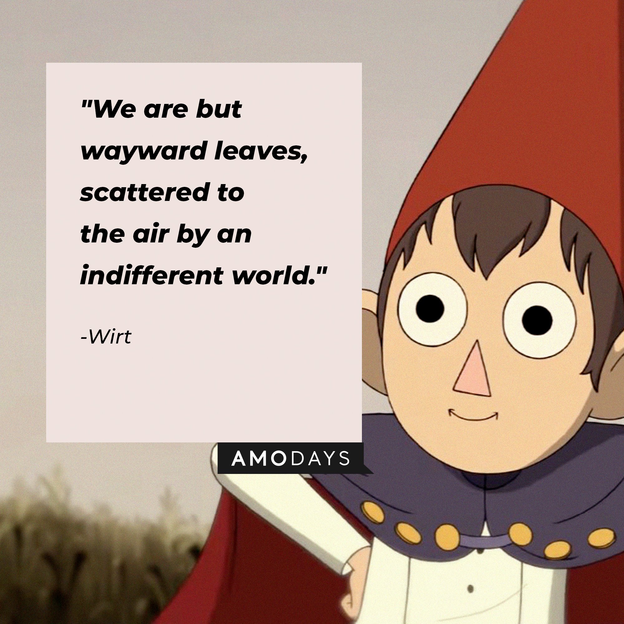 Wirt’s quote: "We are but wayward leaves, scattered to the air by an indifferent world." | Image: AmoDays