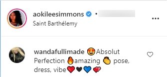 A fan's comment on Aoki Lee's recent picture in a blue dress. | Photo: Instagram/Aokileesimmons