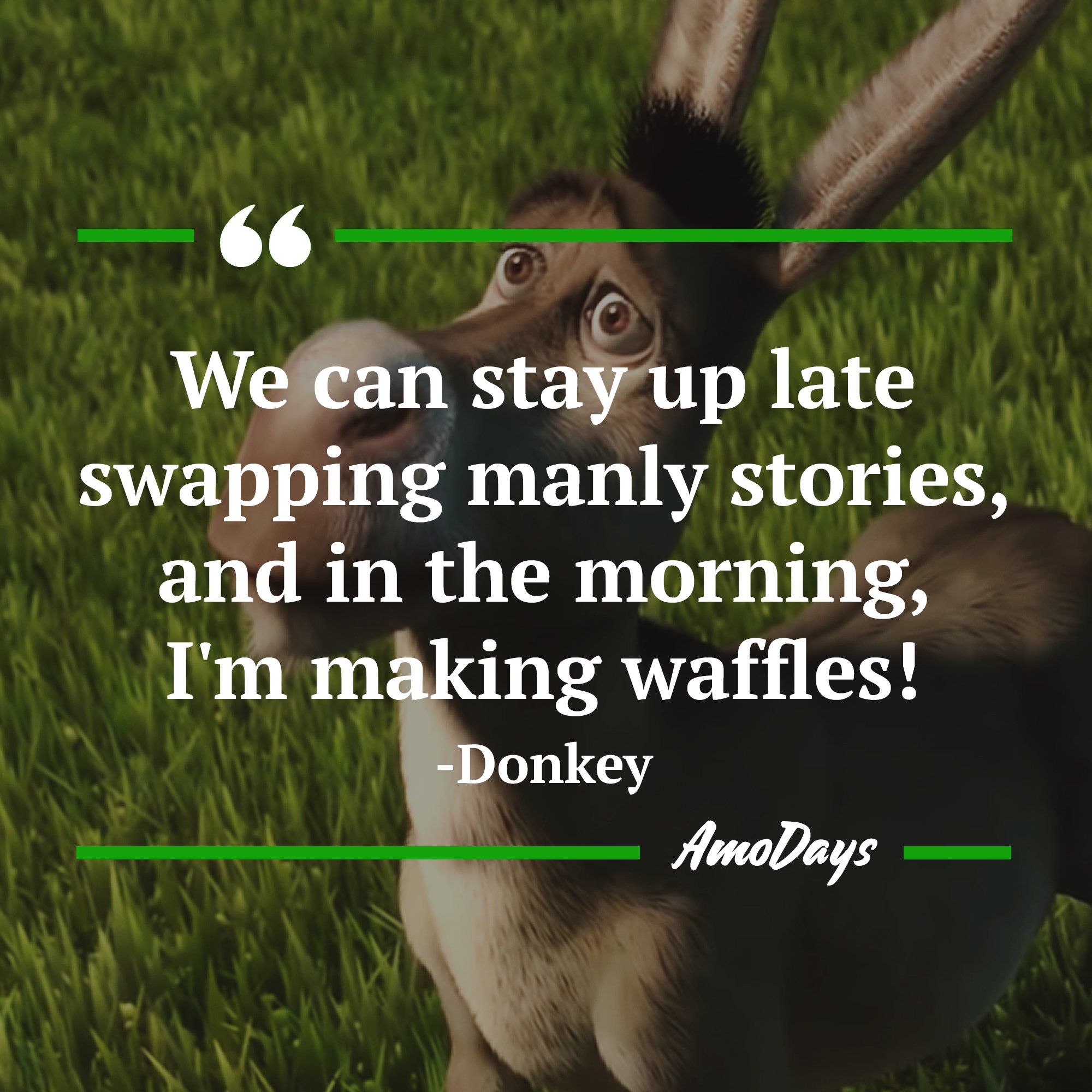 Donkey's quote: "We can stay up late swapping manly stories, and in the morning, I'm making waffles!" | Image: AmoDays