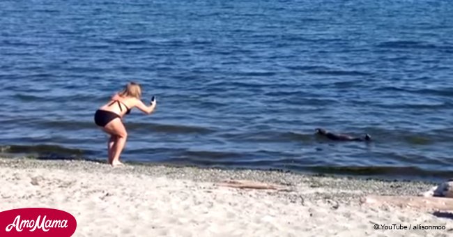Wild sea otter swims up to a man on Cadboro Bay beach (video)
