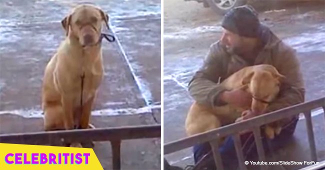 Woman leaves dog outside in freezing cold but a kind stranger steps in to provide warmth