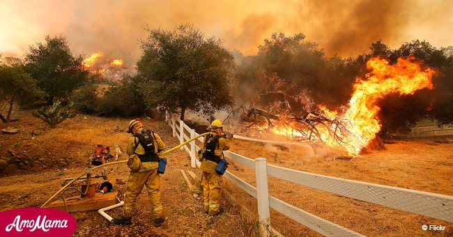 31 killed in California as firefighters battle the third-deadliest wildfire