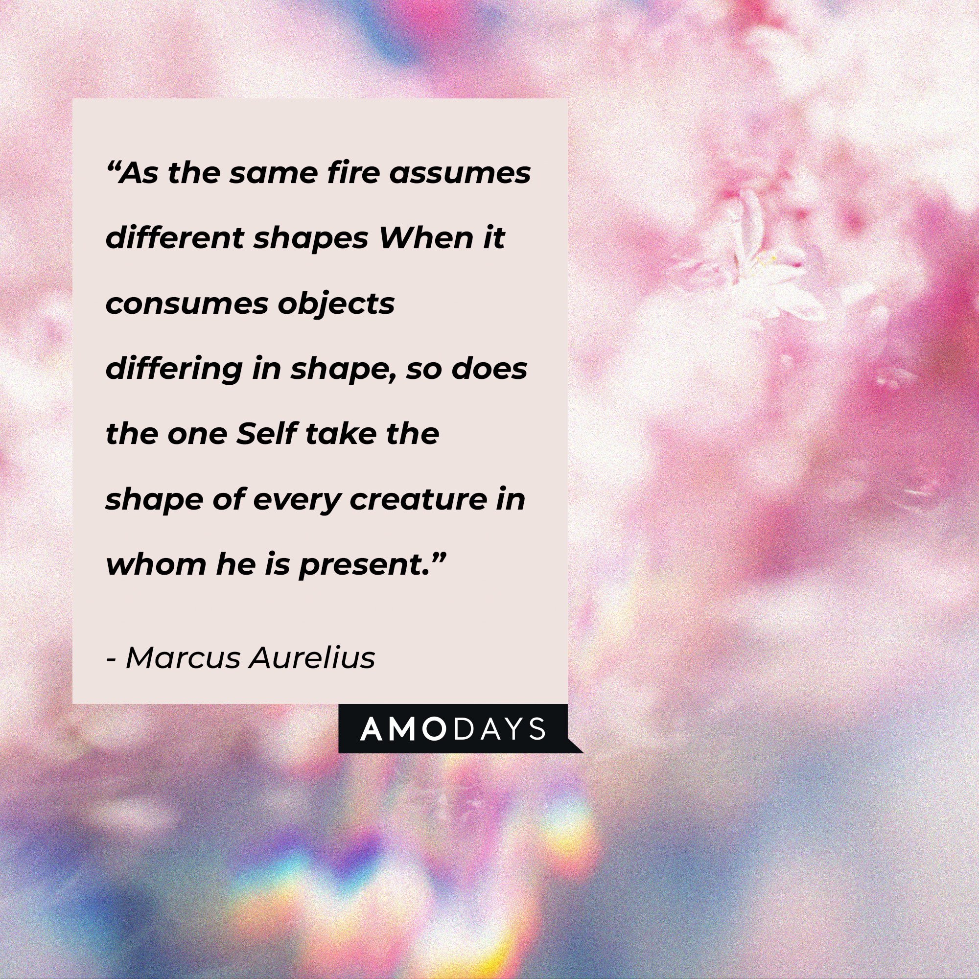 Marcus Aurelius's quote:  “As the same fire assumes different shapes When it consumes objects differing in shape, so does the one Self take the shape of every creature in whom he is present.” | Image: Amodays