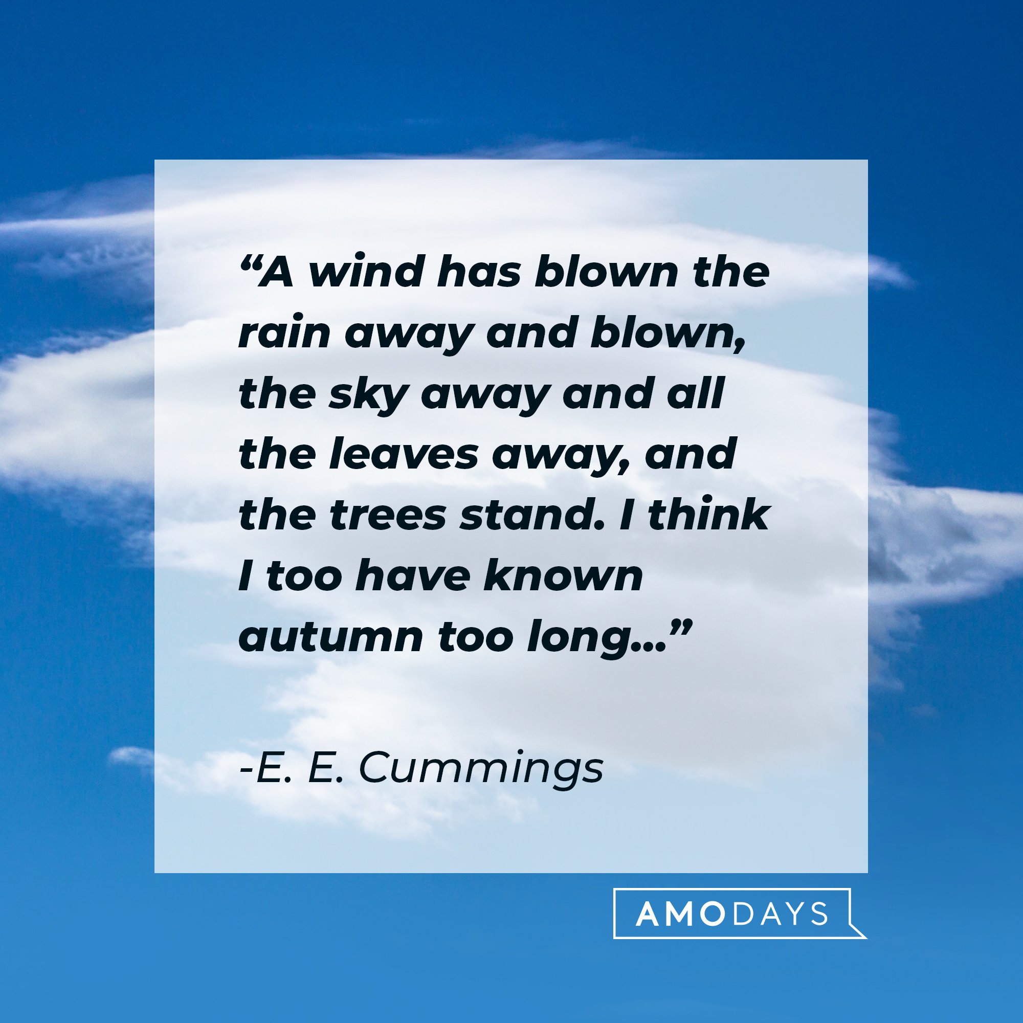 E. E. Cummings' quote: "A wind has blown the rain away and blown, the sky away and all the leaves away, and the trees stand. I think I too have known autumn too long..." | Image: AmoDays