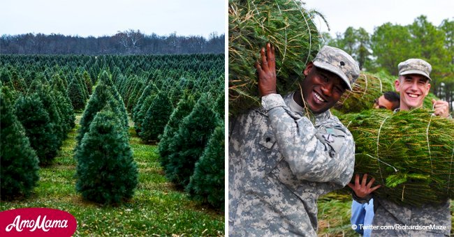 Michigan farm sends almost 600 Christmas trees to military families