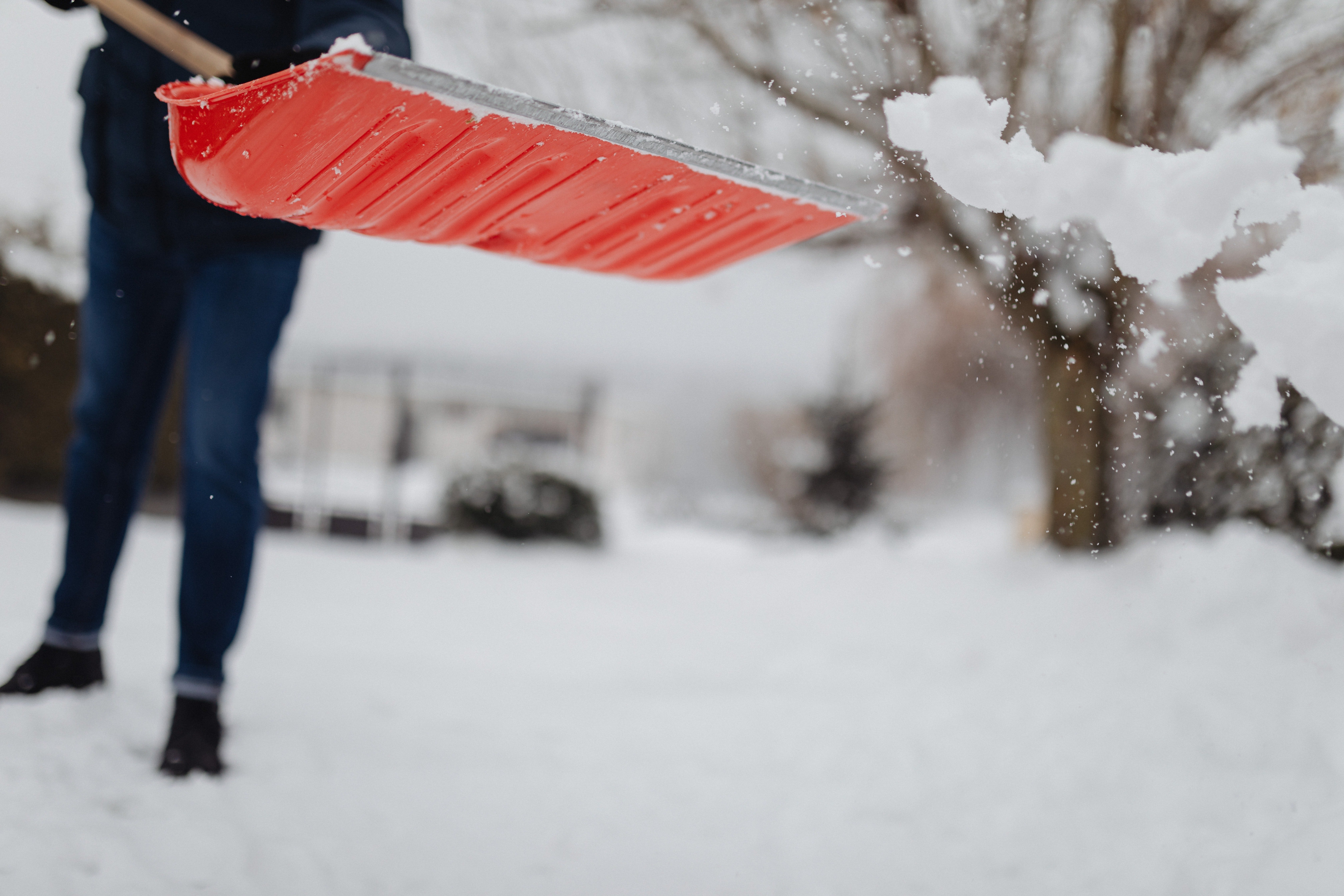 OP often shoveled snow & gardened for the elderly couple | Source: Pexels