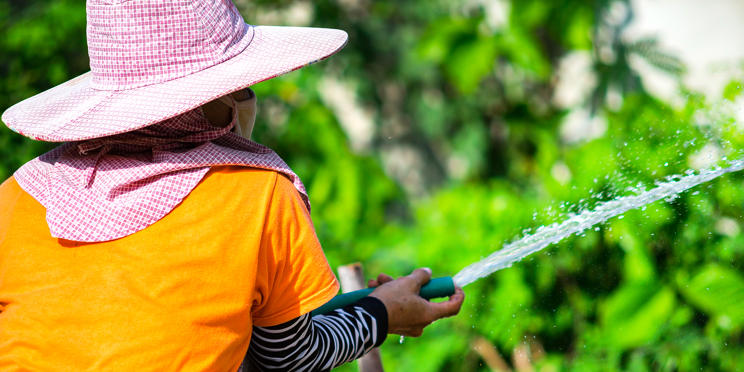 A woman watering her garden with a hose | Source: Shutterstock