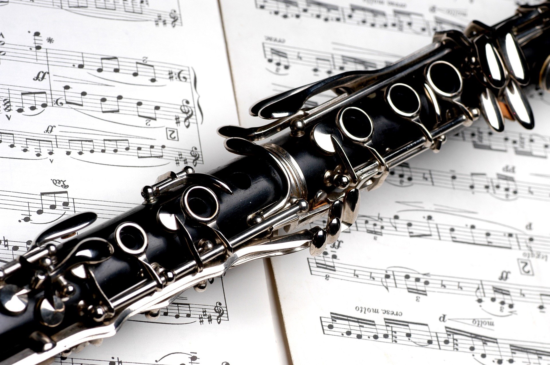 Would the jazz clarinetist work out? | Photo: Pixabay/Bob McEvoy