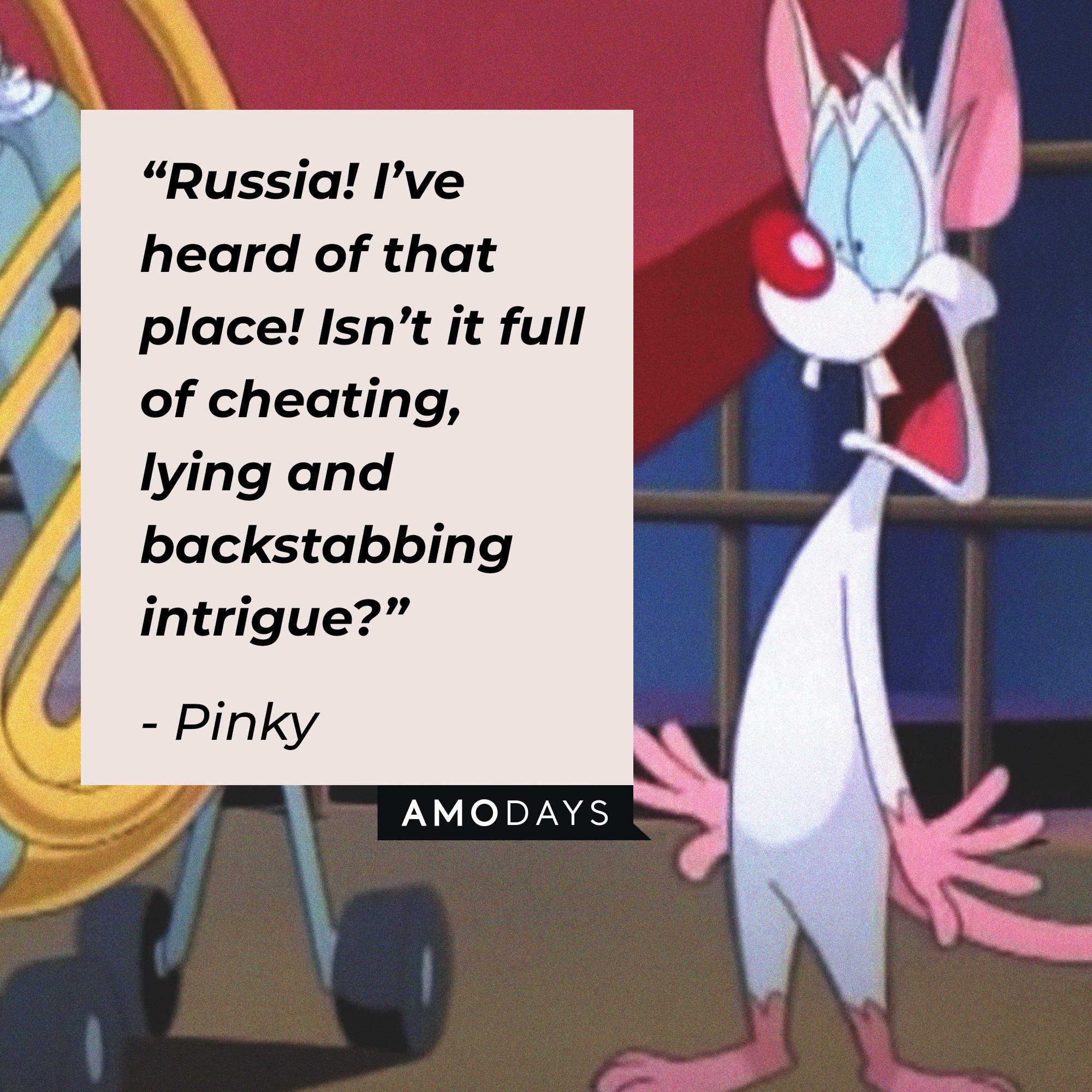 Pinky's quote: “Russia! I’ve heard of that place! Isn’t it full of cheating, lying and backstabbing intrigue?” | Image: AmoDays