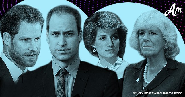 Prince William & Harry had a furious reaction to Camilla after Diana's death, new book reveals