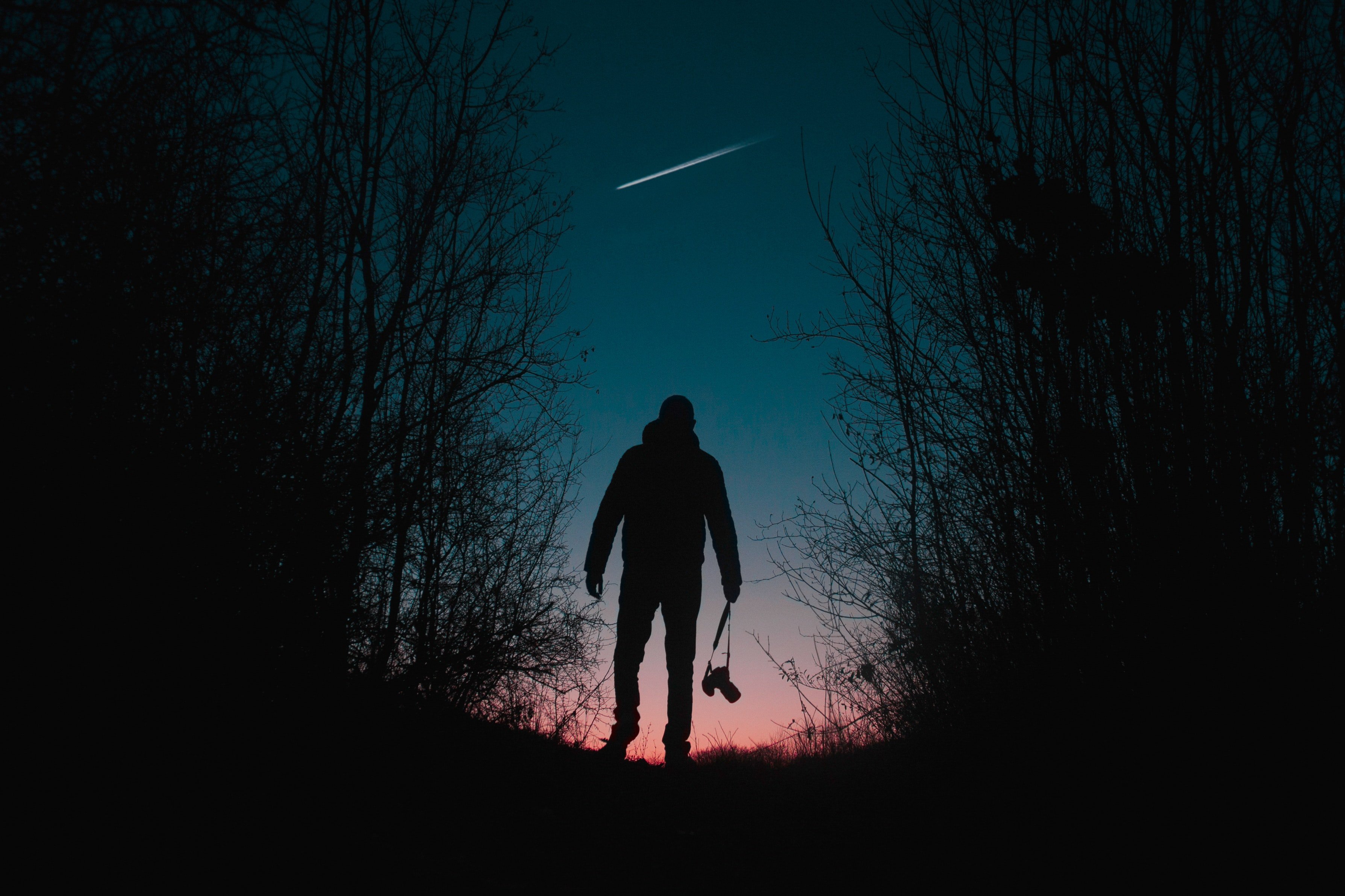 Hombre en el bosque viendo una estrella fugaz. | Foto: Pexels