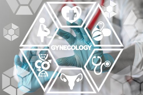 Gynecology healthcare concept. | Source: Shutterstock.