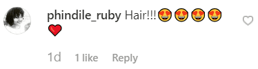 Captures d'écran des commentaires d'Instagram. | Source: Instagram.com/TheresaCaputo