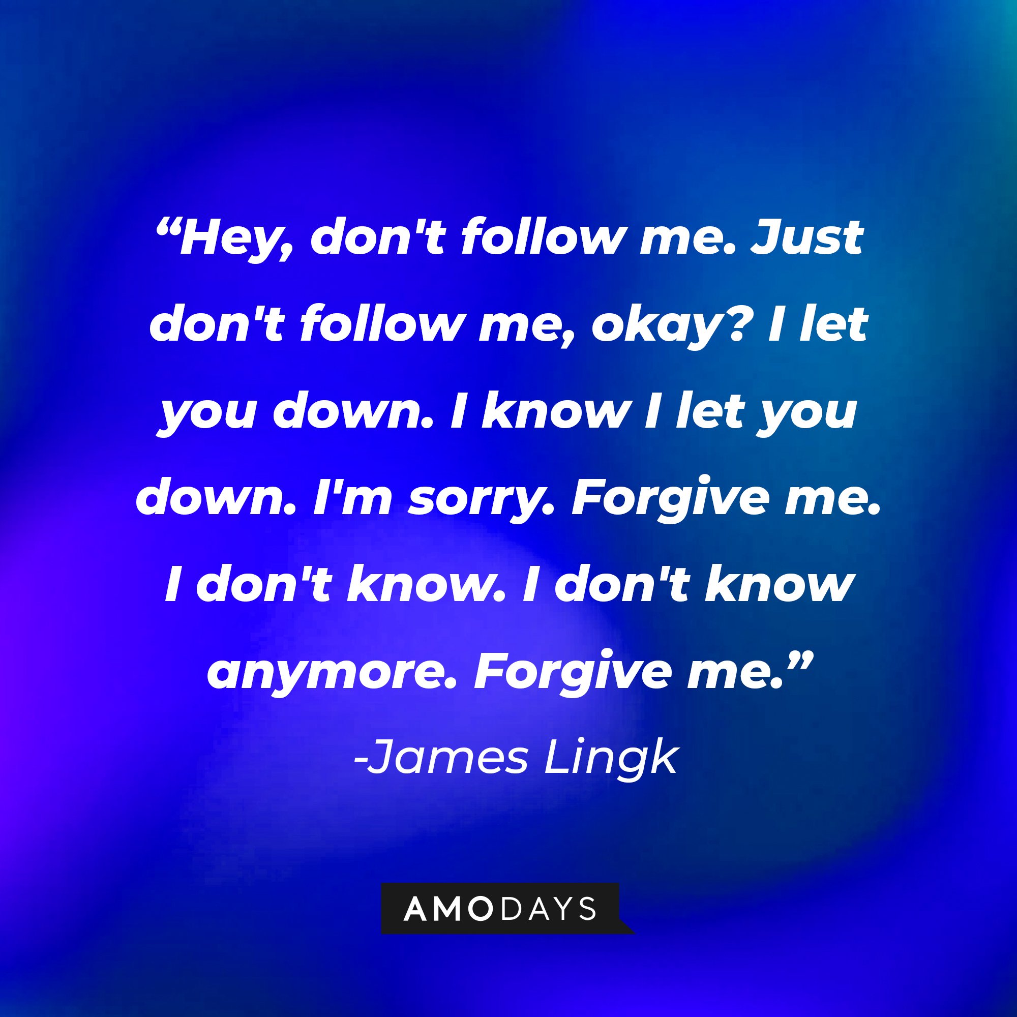 James Lingk’s quote: "Hey, don't follow me. Just don't follow me, okay? I let you down. I know I let you down. I'm sorry. Forgive me. I don't know. I don't know anymore. Forgive me."  | Image: AmoDays