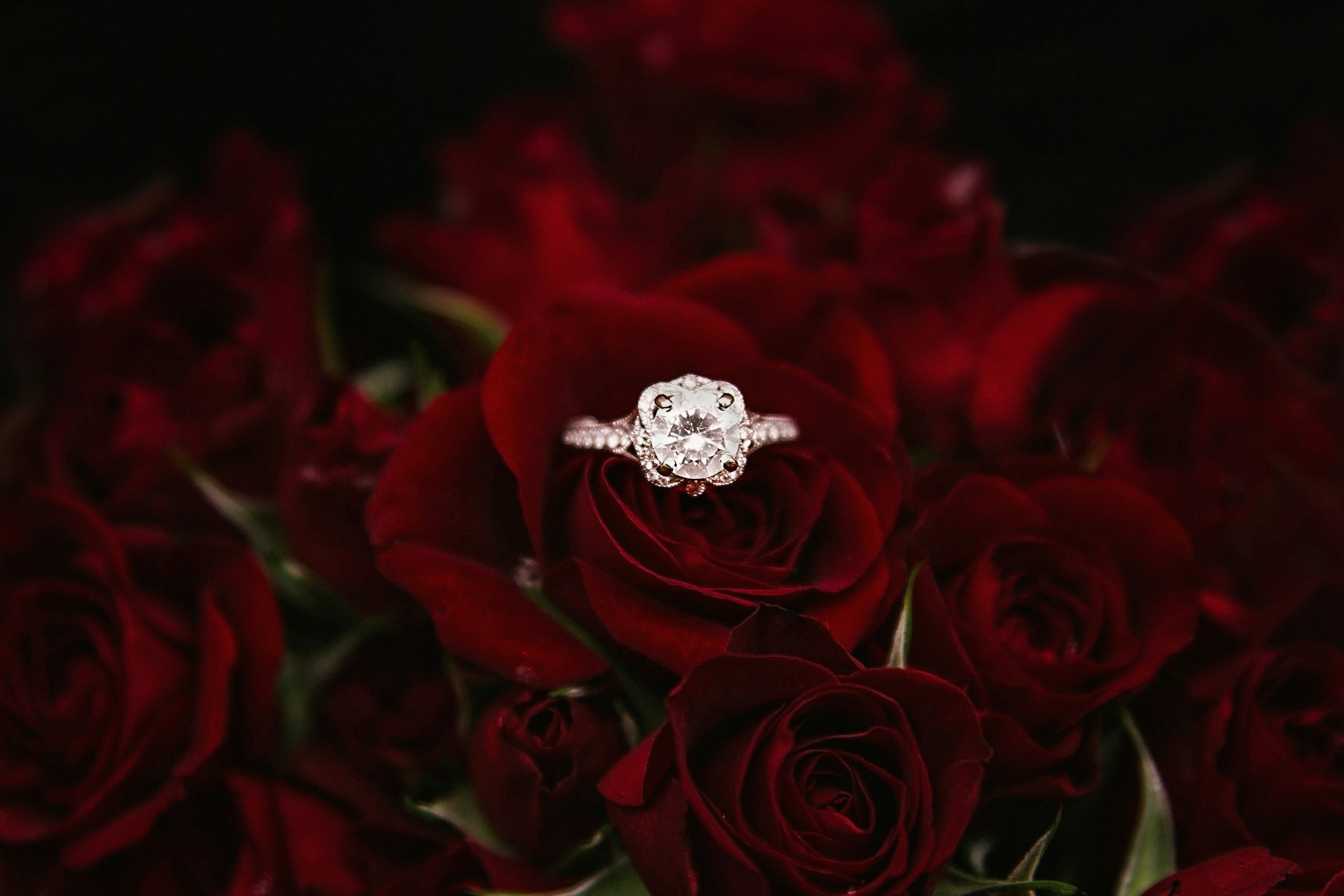 An engagement ring with red roses | Source: Unsplash