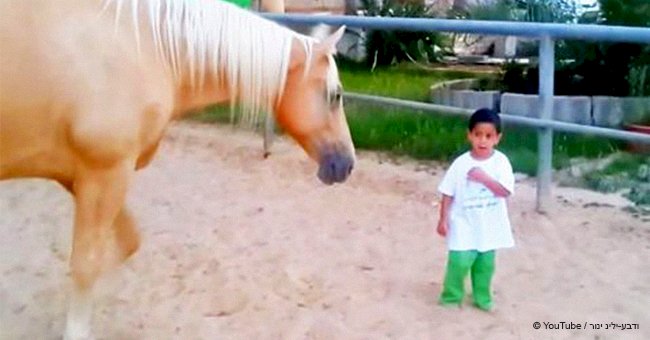 Horse walks up to boy with rare disorder as mom films their surprising interaction