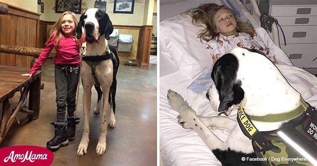 Massive dog helps guide 11-year-old with rare genetic condition