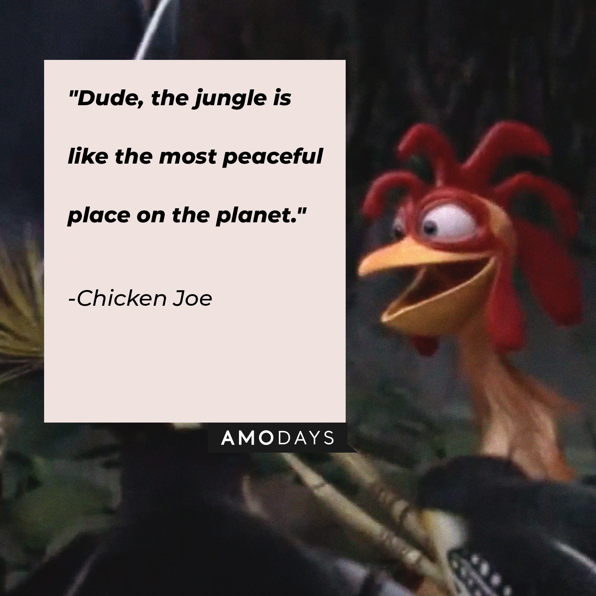 Chicken Joe's quote: “Dude, the jungle is like the most peaceful place on the planet." | Image: AmoDays