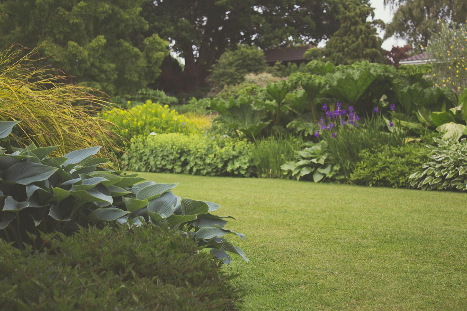 A well-kept garden | Source: Pexels