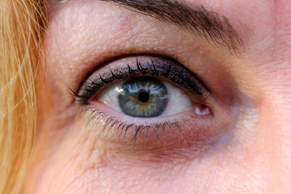 Ojos y cejas de mujer. | Imagen: Pixabay