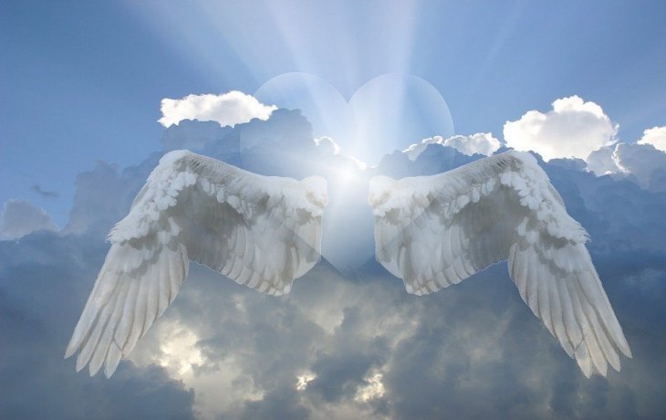 Imagen tomada de: Pixabay Imagen tomada de: Pixabay
