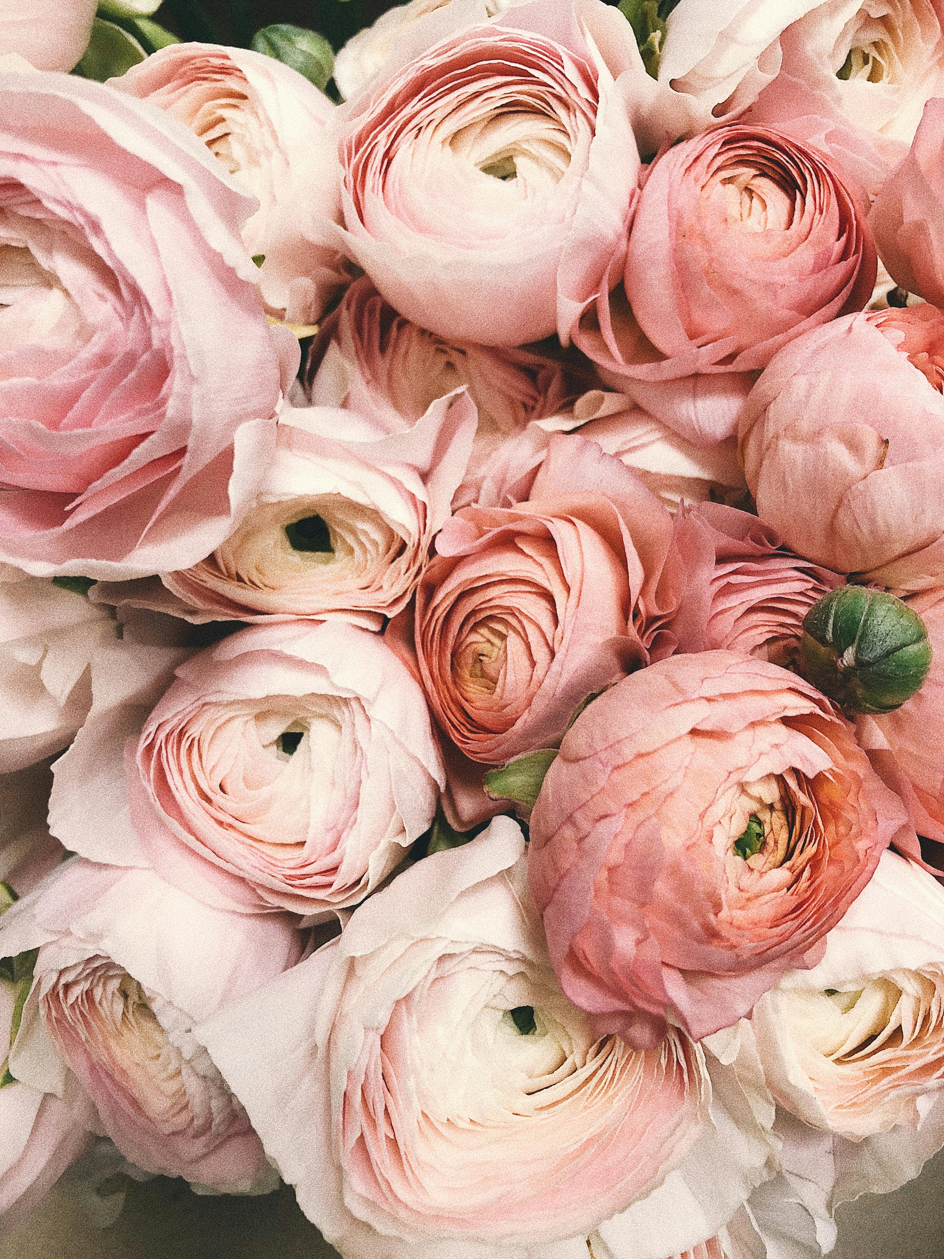 A bouquet of flowers | Source: Pexels