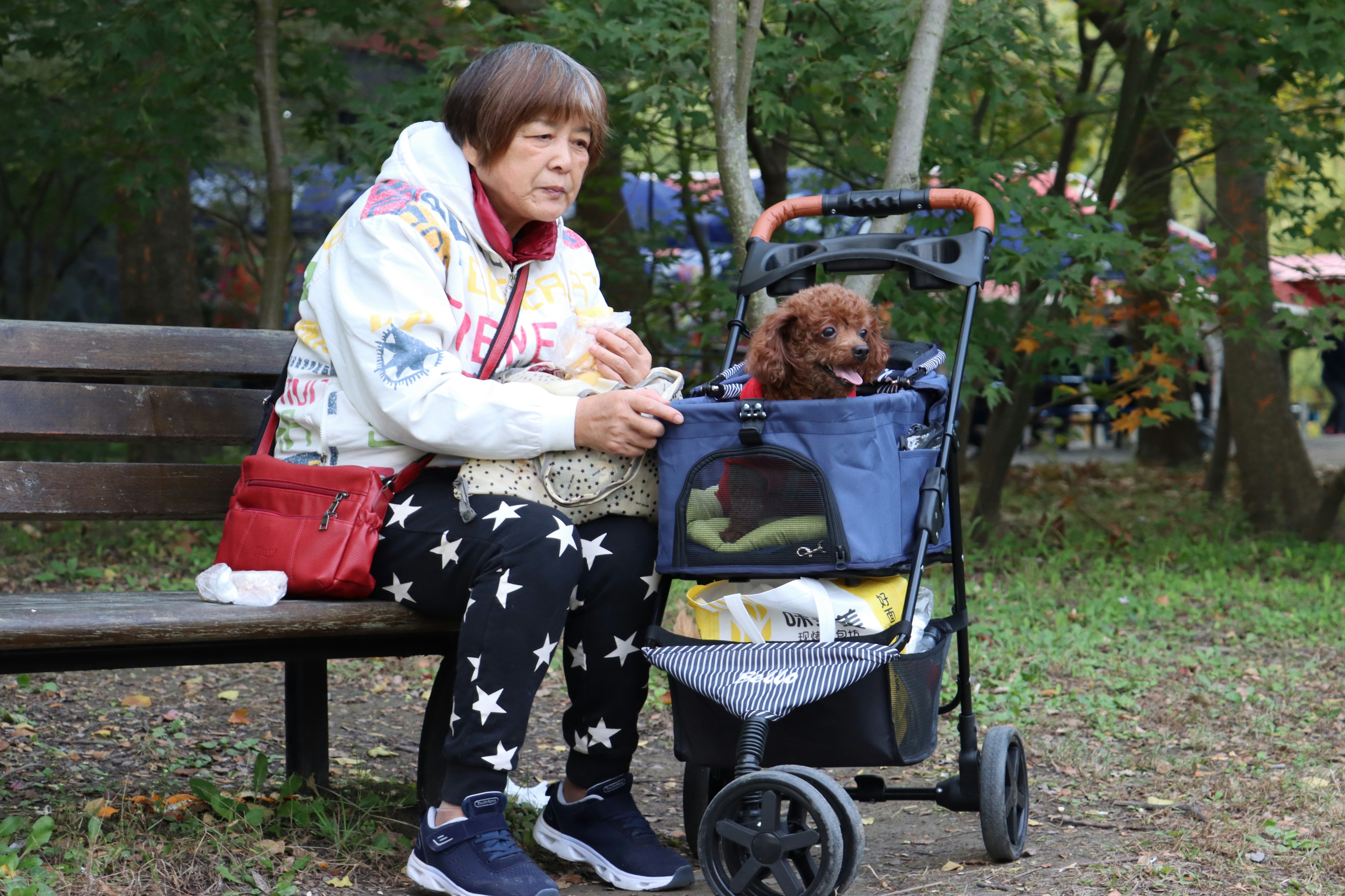 A woman taking her pet to the park | Source: Unsplash