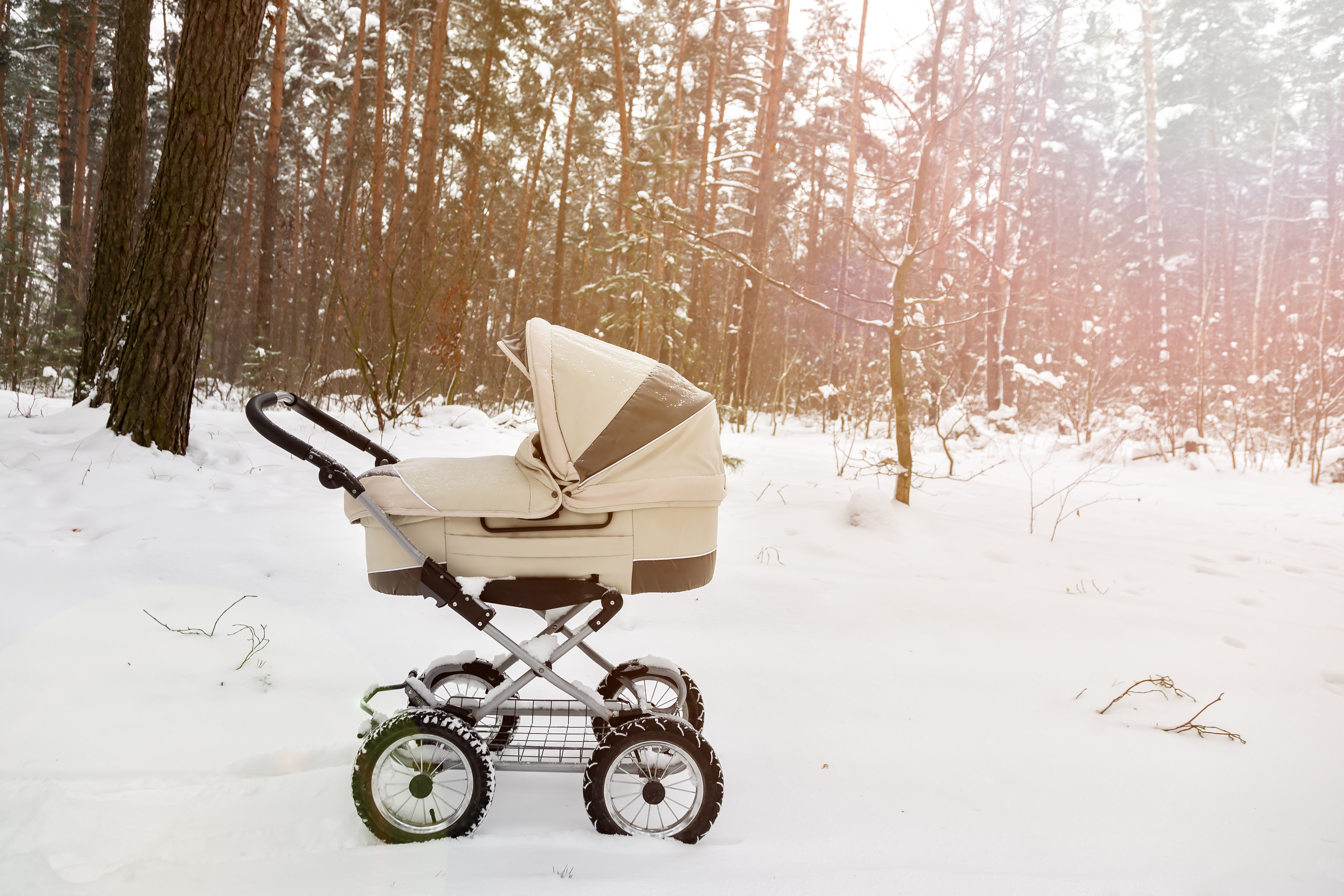 Baby stroller in winter forest | Source: Shutterstock