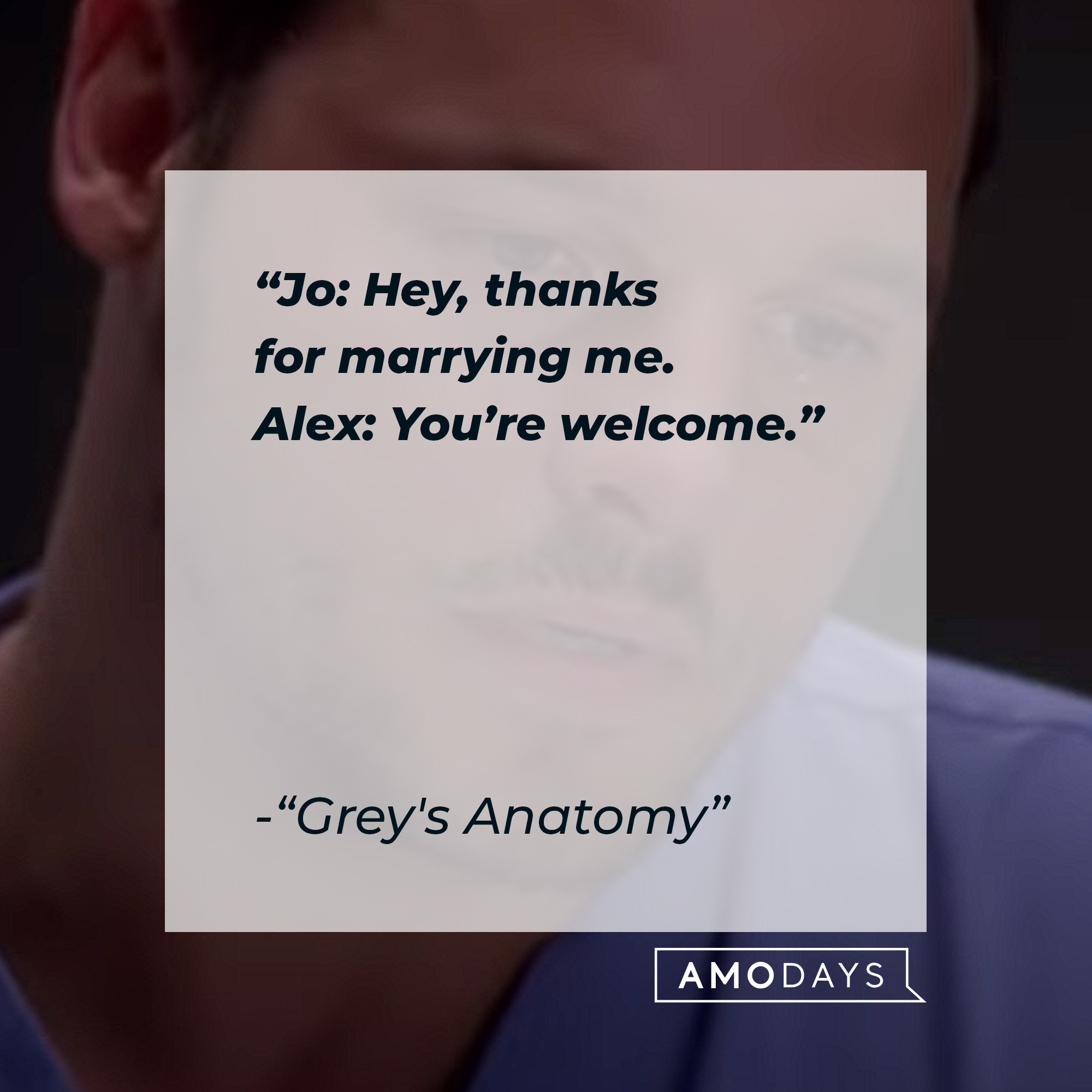 Quote from “Grey’s Anatomy”: “Jo: Hey, thanks for marrying me. Alex: You’re welcome.” | Source: youtube.com/ABCNetwork