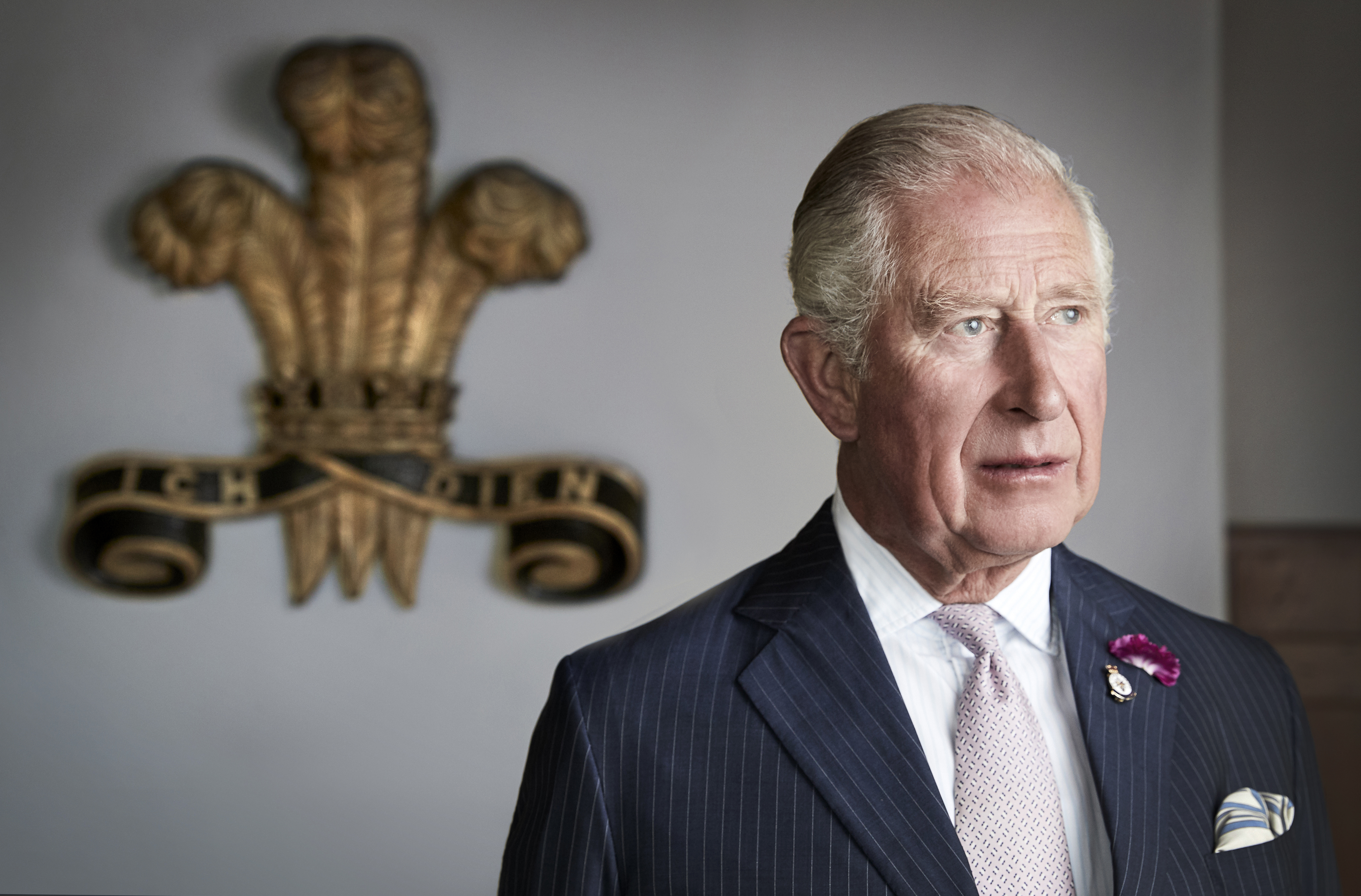 King Charles poses for an official portrait on July 2, 2019 in Myddfai, Wales, United Kingdom | Source: Getty Images