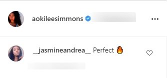 Fan's comment under a picture of Aoki Lee Simmons posted on her Instagram page | Photo: Instagram/aokileesimmons