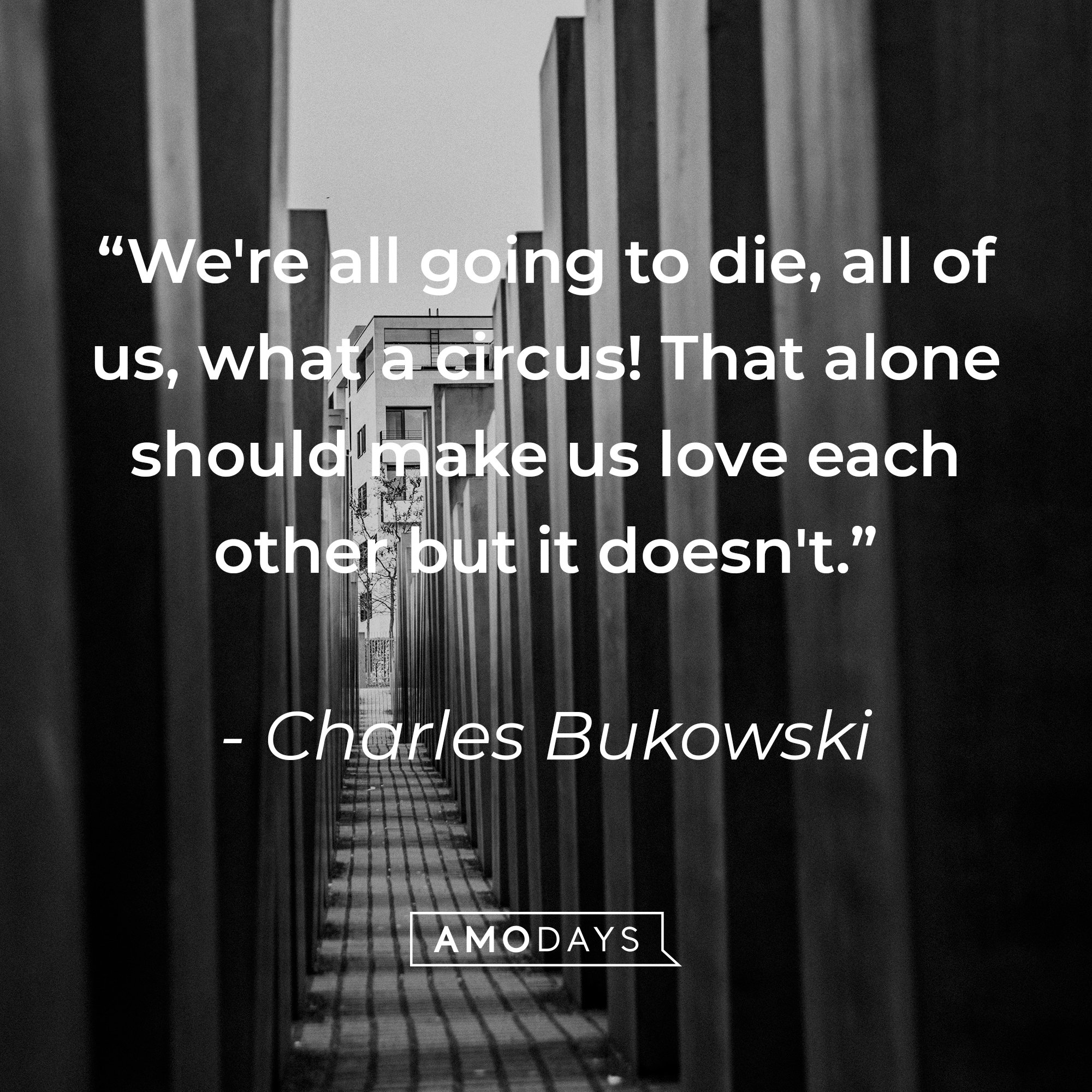   Charles Bukowski’s quote: “We're all going to die, all of us, what a circus! That alone should make us love each other but it doesn't.” | Image: Amodays