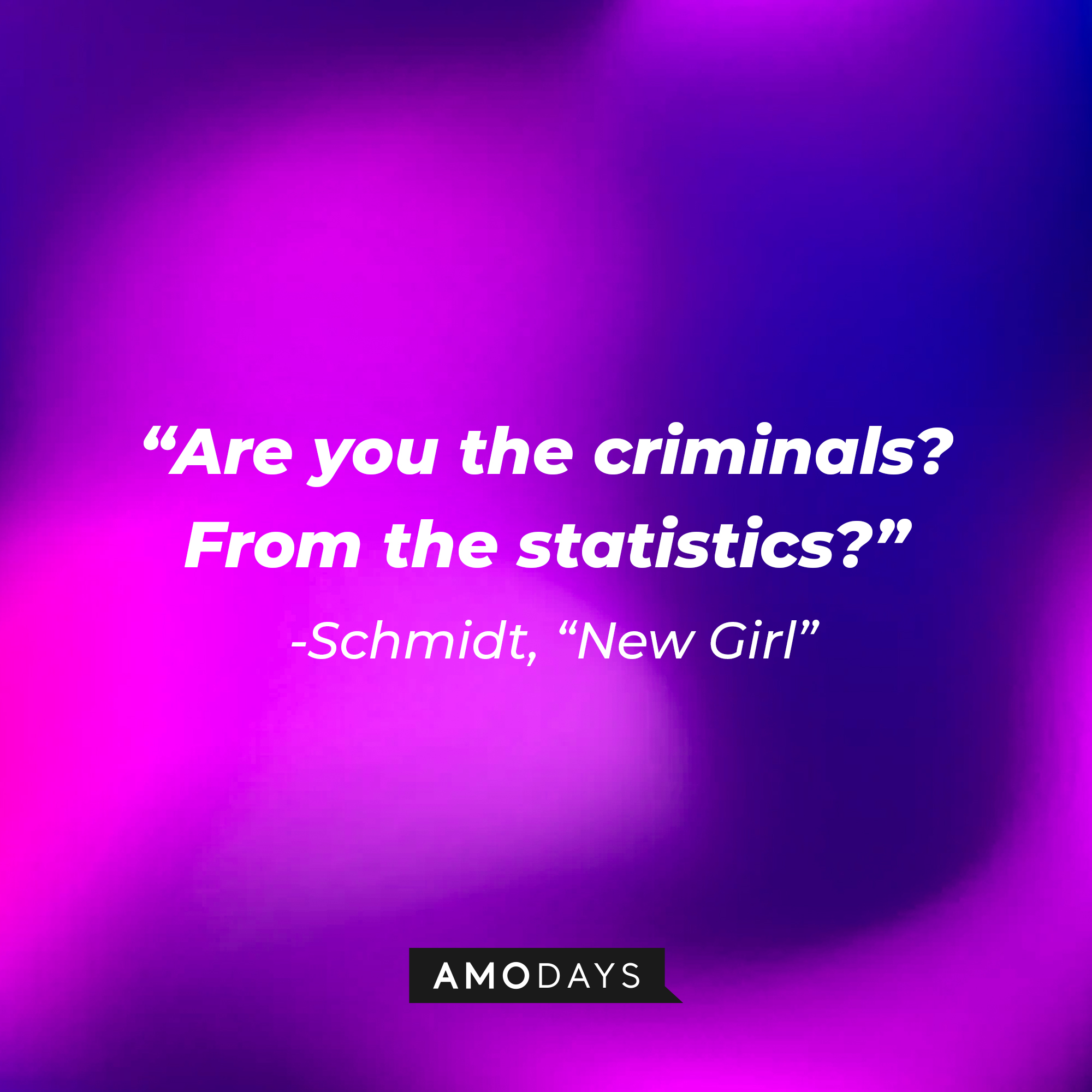 Schmidt's quote: "Are you the criminals? From the statistics?" | Source: Amodays
