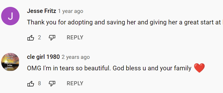Users' comments on video of 10-year-old boy who got surprised with a new sibling. | Photo: YouTube/Love What Matters
